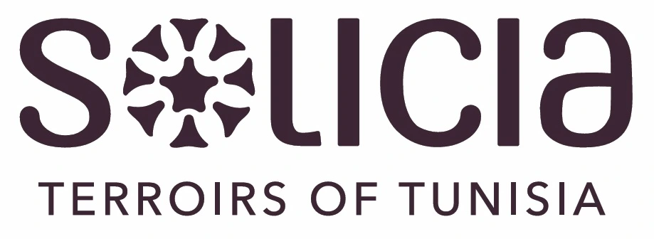 Logo Solicia